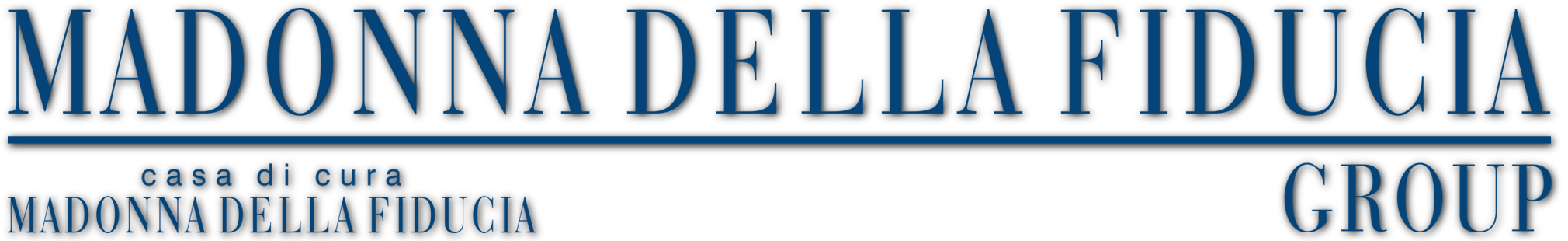LOGO FIDUCIA GROUP NAMUR BLU