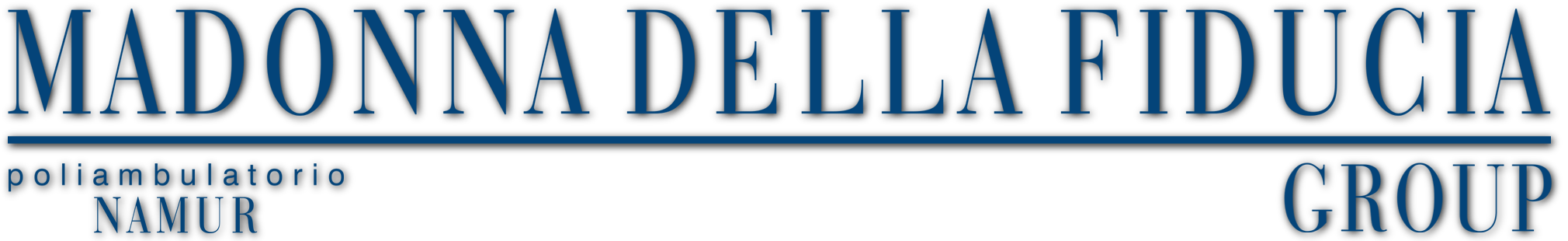 LOGO FIDUCIA GROUP POLIAMB bianco ombra