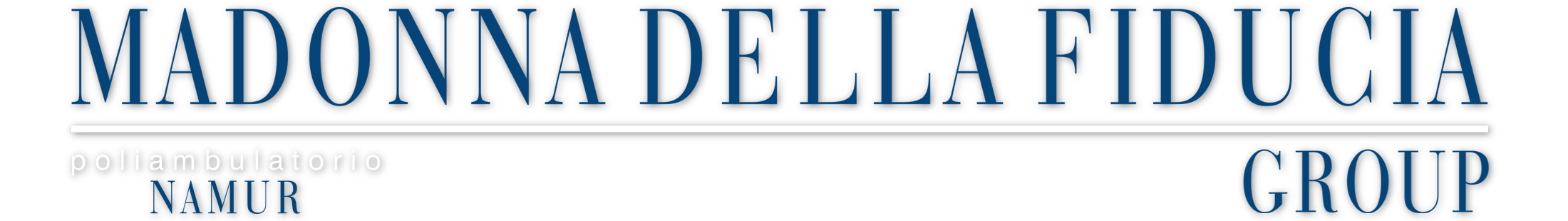 LOGO FIDUCIA GROUP POLIAMB bianco ombra